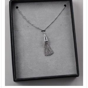💎BRAND NEW Eddie Borgo silver tassel necklace H10